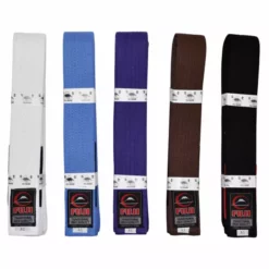 Fuji Adult BJJ Belt