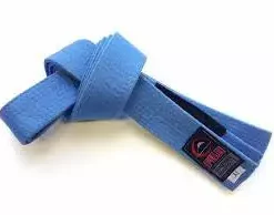 Fuji Adult BJJ Belt 10 Fuji Adult BJJ Belt