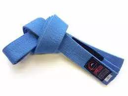 Fuji Adult BJJ Belt 5 Fuji Adult BJJ Belt