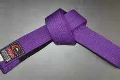 Fuji Adult BJJ Belt 12 Fuji Adult BJJ Belt