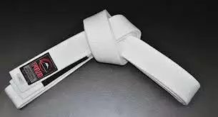 Fuji Adult BJJ Belt 8 Fuji Adult BJJ Belt