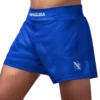 Hayabusa Arrow Kickboxing Shorts