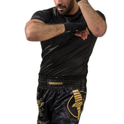 Shorts And Spats Hayabusa Falcon Muay Thai Shorts 34 Shorts And Spats Hayabusa Falcon Muay Thai Shorts