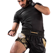 Shorts And Spats Hayabusa Falcon Muay Thai Shorts 32 Shorts And Spats Hayabusa Falcon Muay Thai Shorts