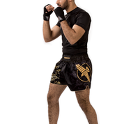 Shorts And Spats Hayabusa Falcon Muay Thai Shorts 31 Shorts And Spats Hayabusa Falcon Muay Thai Shorts
