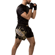 Shorts And Spats Hayabusa Falcon Muay Thai Shorts 28 Shorts And Spats Hayabusa Falcon Muay Thai Shorts