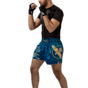 Shorts And Spats Hayabusa Falcon Muay Thai Shorts 22 Shorts And Spats Hayabusa Falcon Muay Thai Shorts