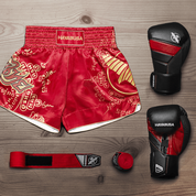 Shorts And Spats Hayabusa Falcon Muay Thai Shorts 5 Shorts And Spats Hayabusa Falcon Muay Thai Shorts