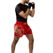 Shorts And Spats Hayabusa Falcon Muay Thai Shorts 11 Shorts And Spats Hayabusa Falcon Muay Thai Shorts