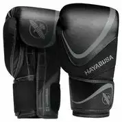 Hayabusa H5 Boxing Gloves 24 Hayabusa H5 Boxing Gloves