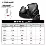 Hayabusa H5 Boxing Gloves 38 Hayabusa H5 Boxing Gloves