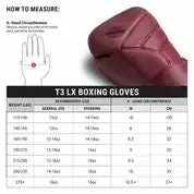 Hayabusa T3 LX Boxing Gloves 12 Hayabusa T3 LX Boxing Gloves