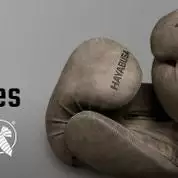 Hayabusa T3 LX Boxing Gloves