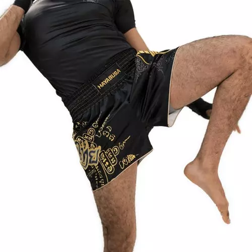 Shorts And Spats Hayabusa Falcon Muay Thai Shorts 26 Shorts And Spats Hayabusa Falcon Muay Thai Shorts