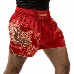 Shorts And Spats Hayabusa Falcon Muay Thai Shorts 7 Shorts And Spats Hayabusa Falcon Muay Thai Shorts