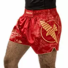 Shorts And Spats Hayabusa Falcon Muay Thai Shorts 6 Shorts And Spats Hayabusa Falcon Muay Thai Shorts