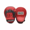 Gloves Ringside Adult Beginner Set (2 Pack)