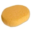 Accessories Ringside Training Sponge