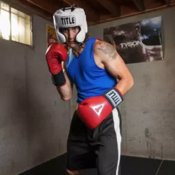 TITLE Masters USA Boxing Competition Gloves - Elastic