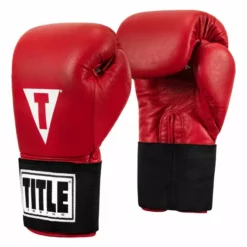 TITLE Masters USA Boxing Competition Gloves - Elastic