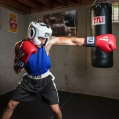 TITLE Masters USA Boxing Competition Gloves - Elastic