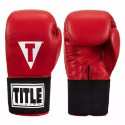 TITLE Masters USA Boxing Competition Gloves - Elastic