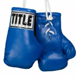 Title 3.5" Mini Boxing Gloves Accessories