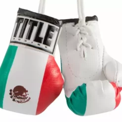 Title 3.5" Mini Boxing Gloves Accessories