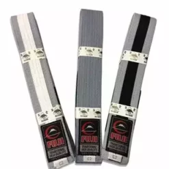 Gi's And Belts Fuji Child BJJ Belt With Stripes